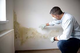 Best Post-Construction Mold Inspection  in Myrtle Grove, FL